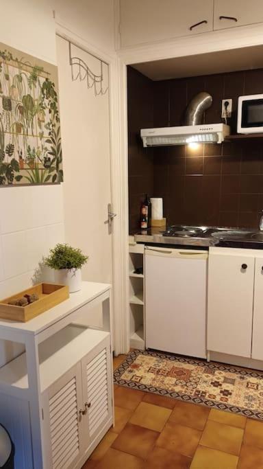 Petit Mignon - Hypercentre Toulouse Apartment Exterior foto